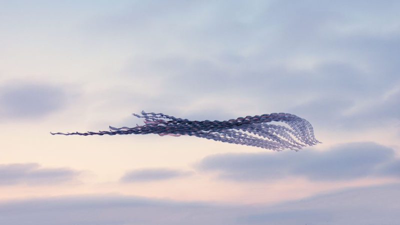 Illustration for article titled You've Never Seen Birds Fly Like This Before